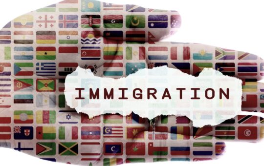 immigration logo